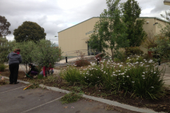 Godwin-iphone-20140525-097